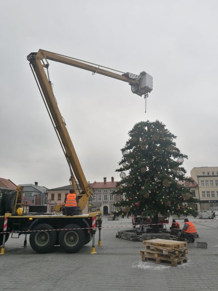 Piękna choinka powróci już w grudniu