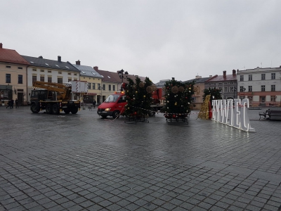 Piękna choinka powróci już w grudniu - zdjęcie3