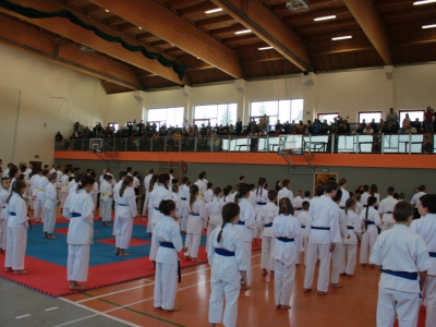 Zawody o Puchar Burmistrza Miasta Żywca w karate - zdjęcie7