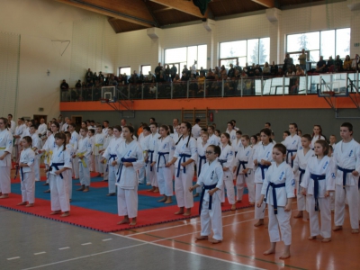 Zawody o Puchar Burmistrza Miasta Żywca w karate - zdjęcie8