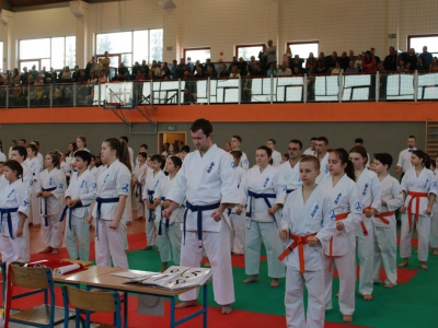 Zawody o Puchar Burmistrza Miasta Żywca w karate - zdjęcie4