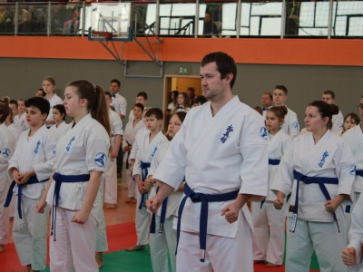 Zawody o Puchar Burmistrza Miasta Żywca w karate - zdjęcie3