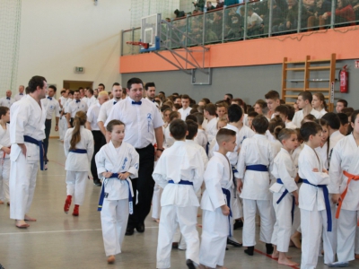 Zawody o Puchar Burmistrza Miasta Żywca w karate - zdjęcie9