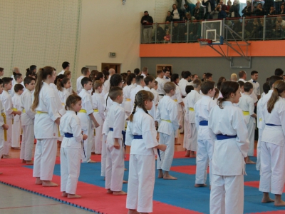 Zawody o Puchar Burmistrza Miasta Żywca w karate - zdjęcie12