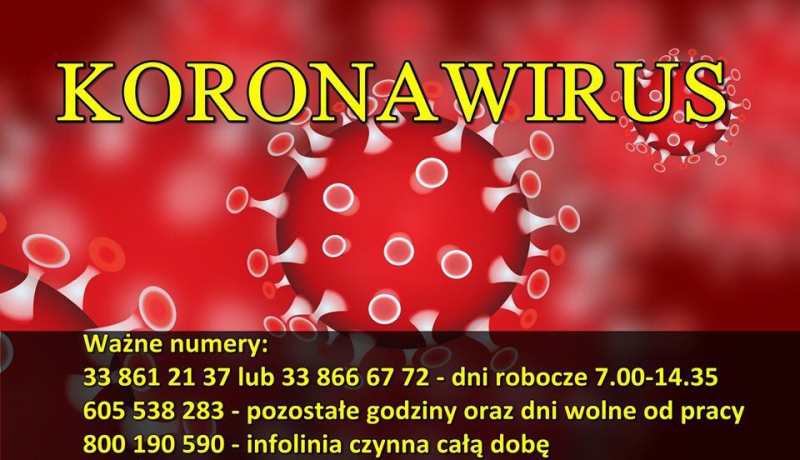 Koronawirus - najświeższe dane (13 marca)