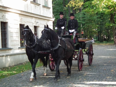 Ostatnie pożegnanie Arcyksiężnej Marii Krystyny Habsburg 11.10.2012 - zdjęcie76