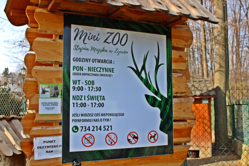 Stajnia Miejska Mini Zoo zmienia się każdego dnia