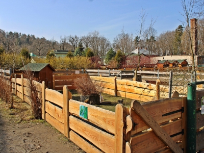 Stajnia Miejska Mini Zoo zmienia się każdego dnia - zdjęcie7