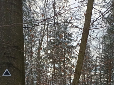 Będzie jeszcze łatwiej dotrzeć na szczyt Łyski - zdjęcie1