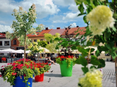 Żywiecki Rynek - zdjęcie9