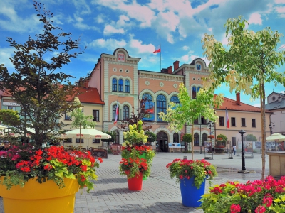 Żywiecki Rynek - zdjęcie6