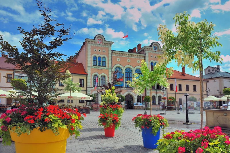 Głosujemy na Miasto Żywiec