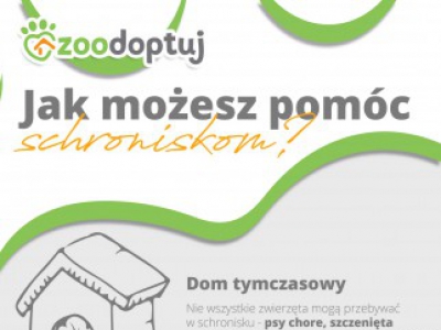 Fundacja Zoodoptuj.pl w żywieckim schronisku! Start akcji #ZoodoptujMobilizuje - zdjęcie2