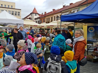 III Eko Dzień na żywieckim Rynku za nami - zdjęcie49