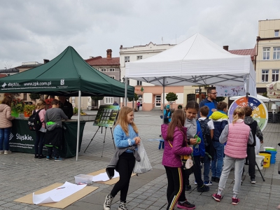 III Eko Dzień na żywieckim Rynku za nami - zdjęcie17