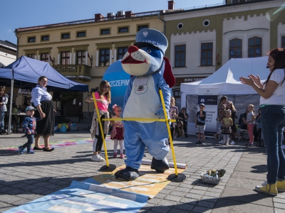 Piknik #SZCZEPIMY SIĘ w Żywcu za nami - zdjęcie42