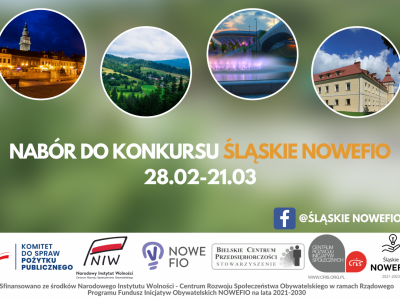Wystartował nabór wniosków - „Śląskie NOWEFIO 2021-2023” - zdjęcie2