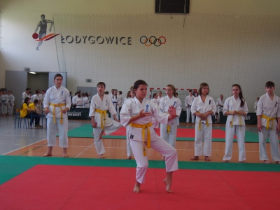 Ogólnopolski Turniej Karate Kyokushin-kan - zdjęcie2