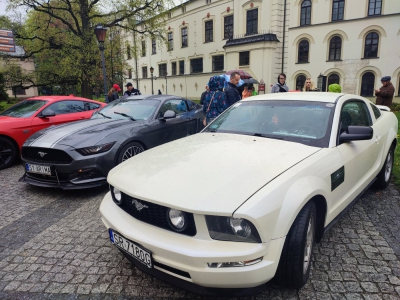 V Śląski Spot Mustangów za nami - zdjęcie9