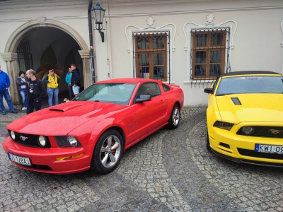 V Śląski Spot Mustangów za nami - zdjęcie1