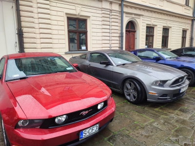 V Śląski Spot Mustangów za nami - zdjęcie7
