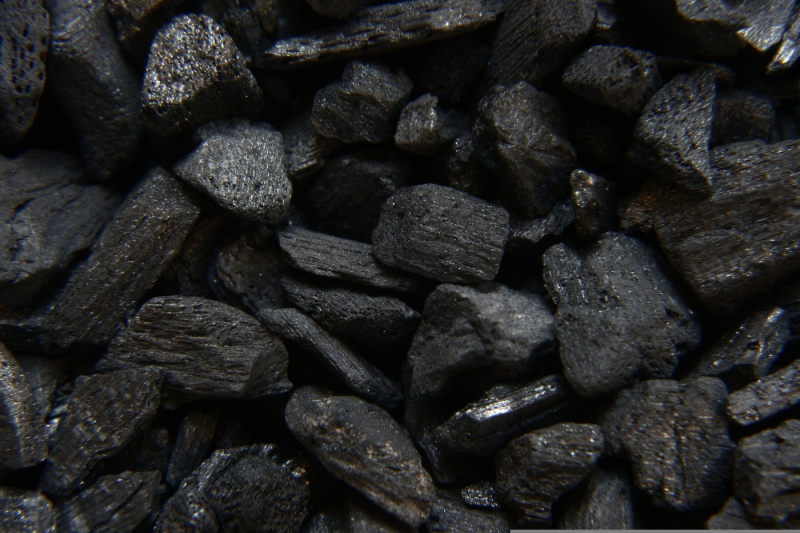INFORMACJA BURMISTRZA MIASTA ŻYWCA  o możliwości złożenia wniosku dotyczącego zapotrzebowania na zakup węgla