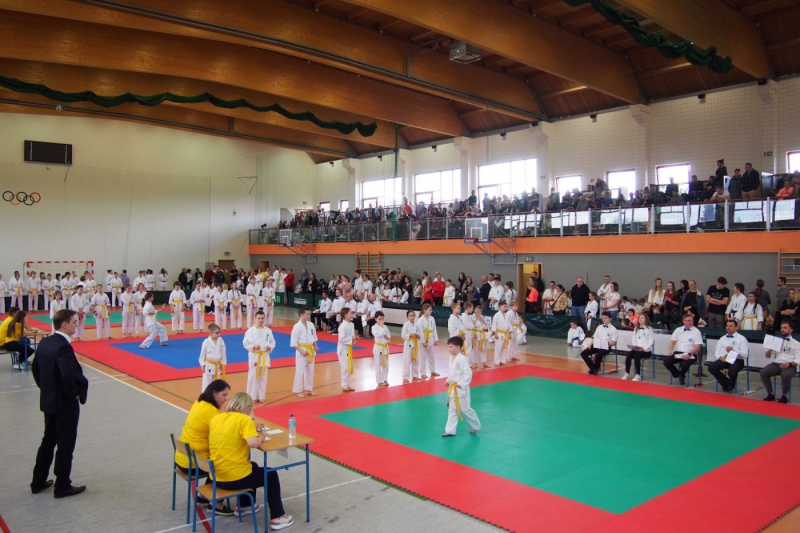 Ogólnopolski Turniej Karate Kyokushin-kan o Puchar Ziemi Żywieckiej