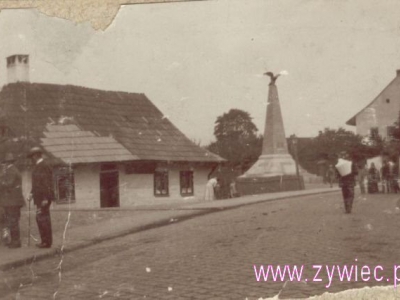 Pomnik Grunwaldzki 1910 - zdjęcie3