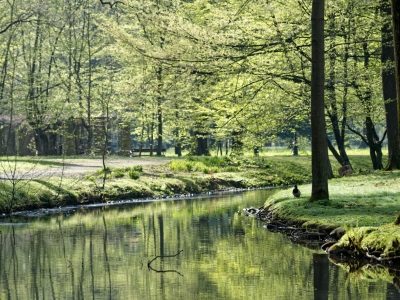 Wiosenny Park Habsburgów - zdjęcie31