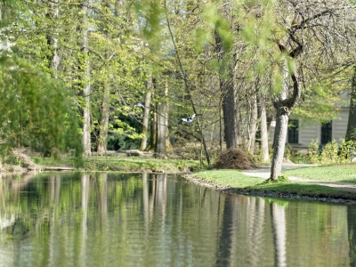 Wiosenny Park Habsburgów - zdjęcie10