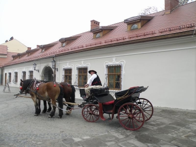 Rewitalizacja kompleksu Starego Zamku i Parku Habsburgów - zdjęcie212
