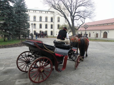 Rewitalizacja kompleksu Starego Zamku i Parku Habsburgów - zdjęcie211