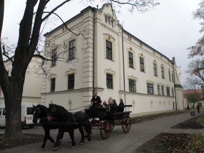 Rewitalizacja kompleksu Starego Zamku i Parku Habsburgów - zdjęcie208