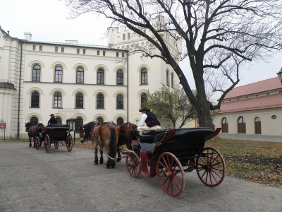 Rewitalizacja kompleksu Starego Zamku i Parku Habsburgów - zdjęcie205