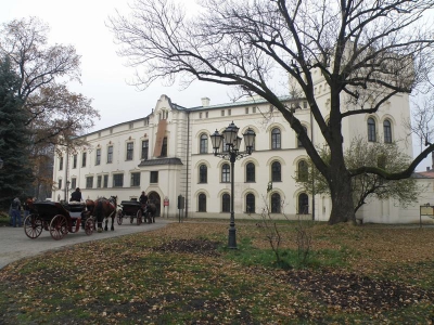 Rewitalizacja kompleksu Starego Zamku i Parku Habsburgów - zdjęcie204