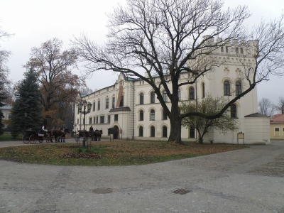 Rewitalizacja kompleksu Starego Zamku i Parku Habsburgów - zdjęcie203